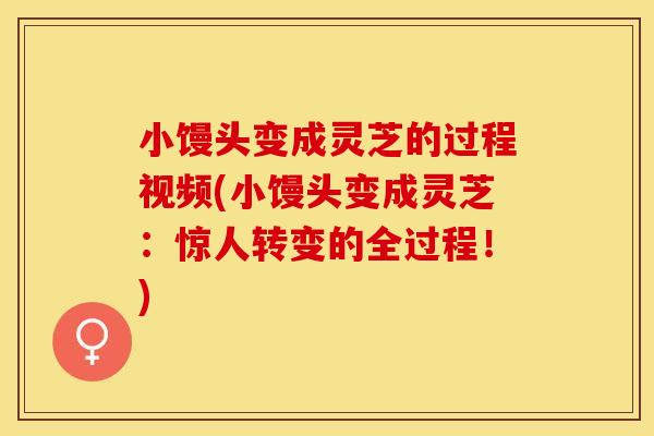 小馒头变成灵芝的过程视频(小馒头变成灵芝：惊人转变的全过程！)
