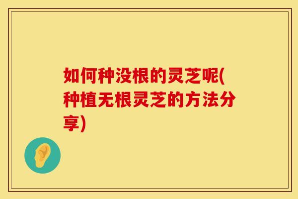 如何种没根的灵芝呢(种植无根灵芝的方法分享)