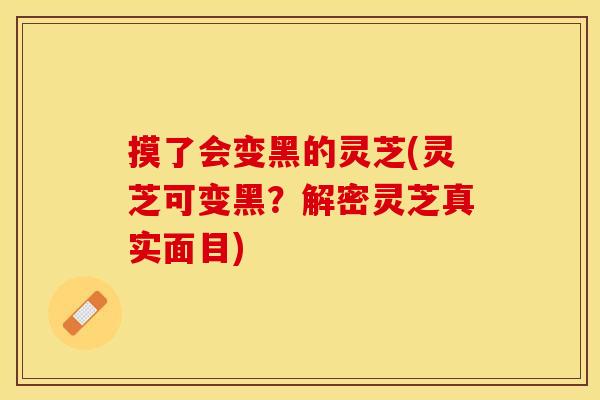 摸了会变黑的灵芝(灵芝可变黑？解密灵芝真实面目)