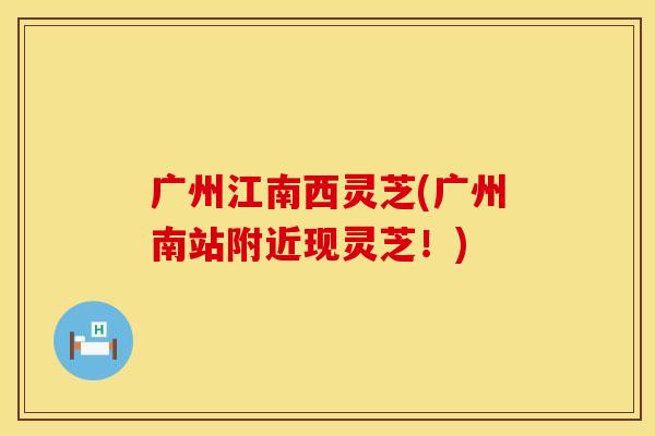广州江南西灵芝(广州南站附近现灵芝！)