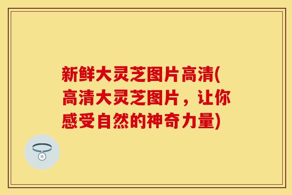 新鲜大灵芝图片高清(高清大灵芝图片，让你感受自然的神奇力量)