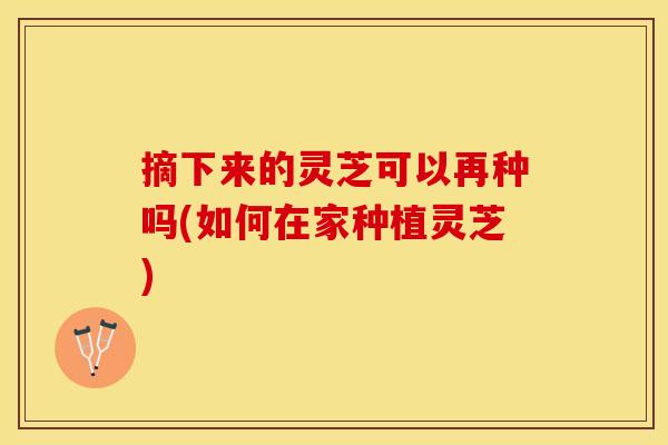摘下来的灵芝可以再种吗(如何在家种植灵芝)