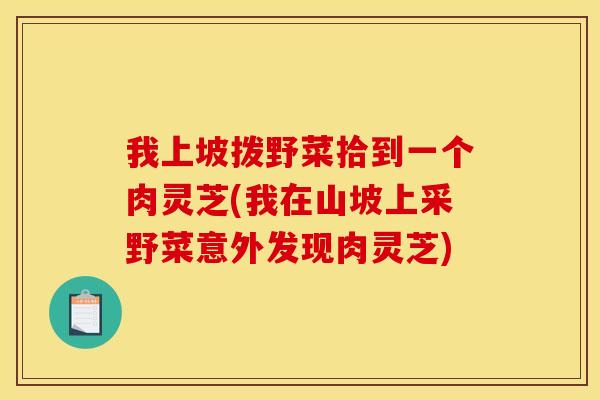 我上坡拨野菜拾到一个肉灵芝(我在山坡上采野菜意外发现肉灵芝)