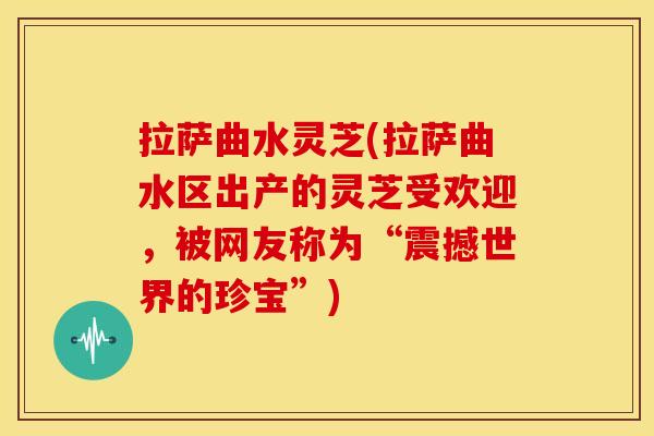 拉萨曲水灵芝(拉萨曲水区出产的灵芝受欢迎，被网友称为“震撼世界的珍宝”)
