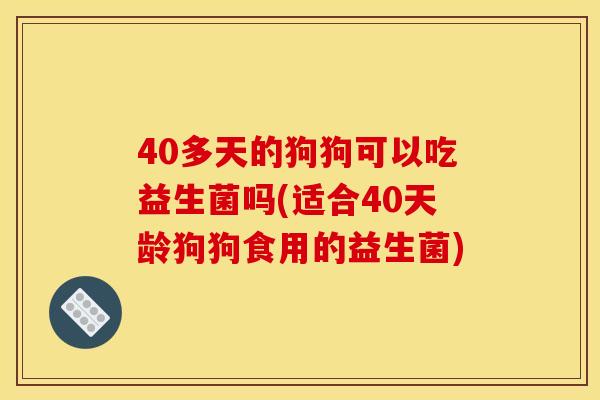 40多天的狗狗可以吃益生菌吗(适合40天龄狗狗食用的益生菌)