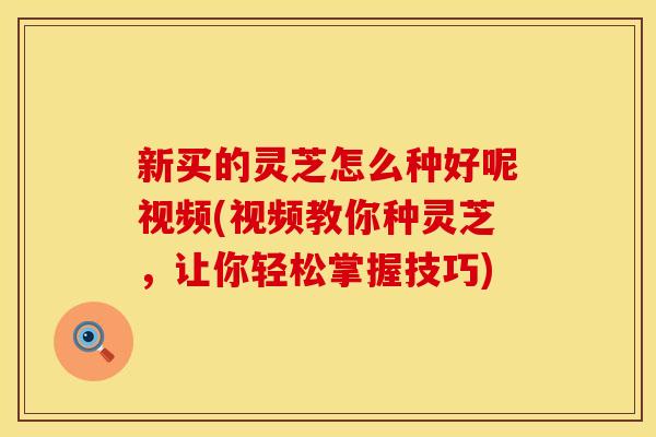 新买的灵芝怎么种好呢视频(视频教你种灵芝，让你轻松掌握技巧)