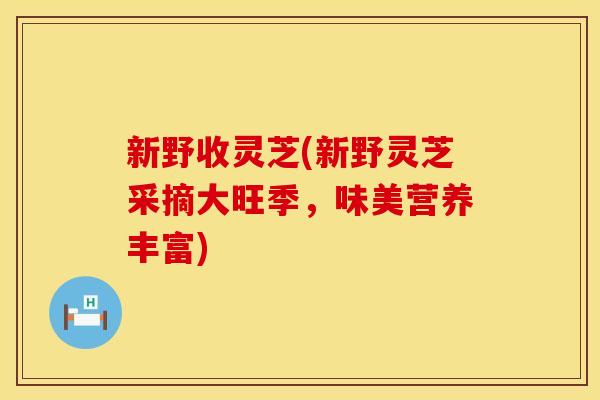 新野收灵芝(新野灵芝采摘大旺季，味美营养丰富)