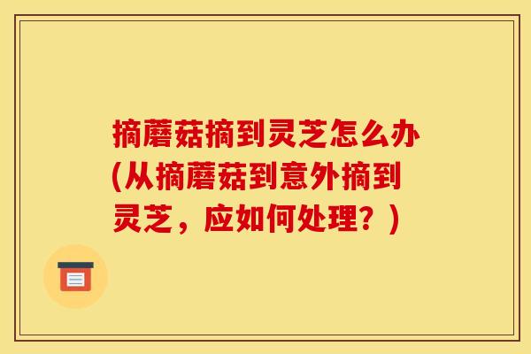 摘蘑菇摘到灵芝怎么办(从摘蘑菇到意外摘到灵芝，应如何处理？)