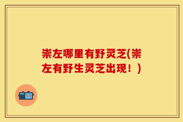 崇左哪里有野灵芝(崇左有野生灵芝出现！)