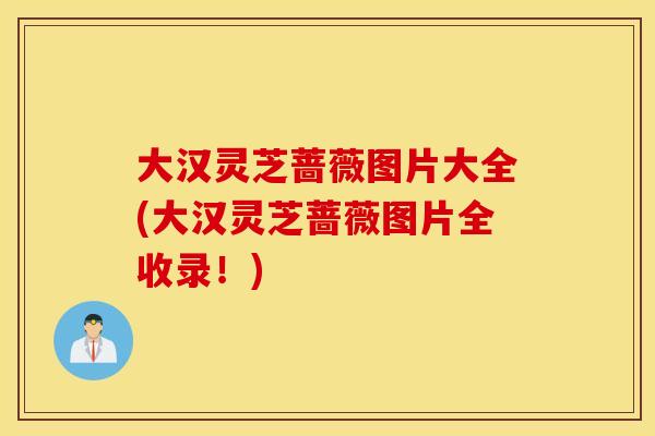 大汉灵芝蔷薇图片大全(大汉灵芝蔷薇图片全收录！)