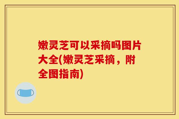嫩灵芝可以采摘吗图片大全(嫩灵芝采摘，附全图指南)
