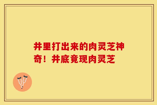 井里打出来的肉灵芝神奇！井底竟现肉灵芝