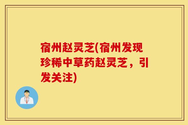 宿州赵灵芝(宿州发现珍稀中草药赵灵芝，引发关注)
