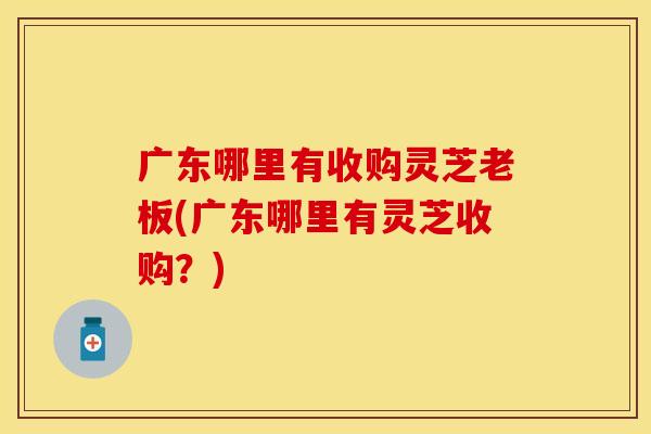 广东哪里有收购灵芝老板(广东哪里有灵芝收购？)