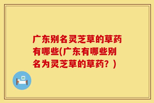 广东别名灵芝草的草药有哪些(广东有哪些别名为灵芝草的草药？)
