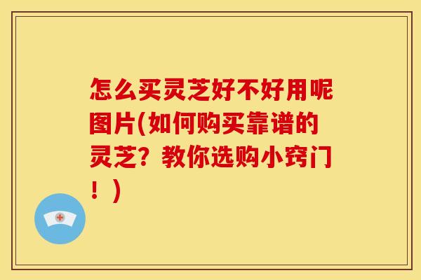 怎么买灵芝好不好用呢图片(如何购买靠谱的灵芝？教你选购小窍门！)