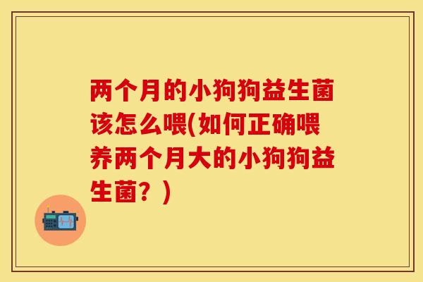 两个月的小狗狗益生菌该怎么喂(如何正确喂养两个月大的小狗狗益生菌？)