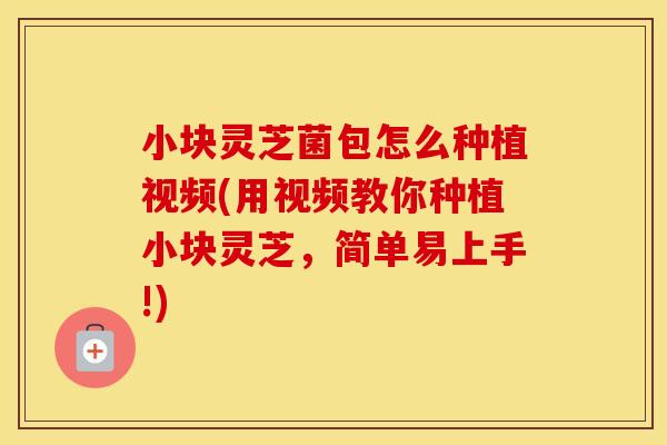 小块灵芝菌包怎么种植视频(用视频教你种植小块灵芝，简单易上手!)