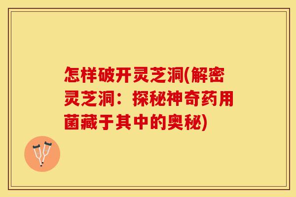 怎样破开灵芝洞(解密灵芝洞：探秘神奇药用菌藏于其中的奥秘)