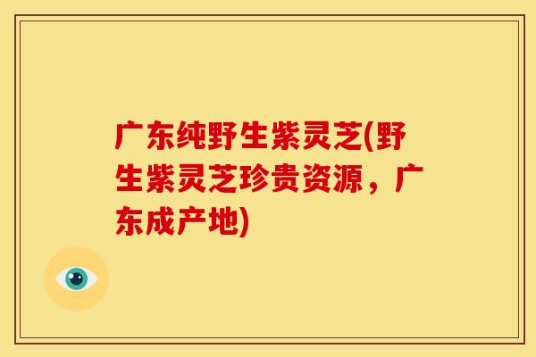 广东纯野生紫灵芝(野生紫灵芝珍贵资源，广东成产地)