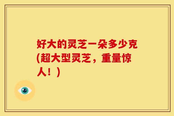 好大的灵芝一朵多少克(超大型灵芝，重量惊人！)