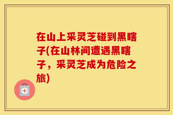 在山上采灵芝碰到黑瞎子(在山林间遭遇黑瞎子，采灵芝成为危险之旅)
