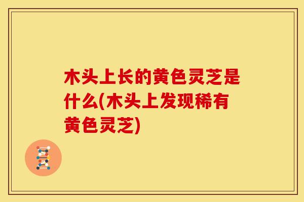木头上长的黄色灵芝是什么(木头上发现稀有黄色灵芝)