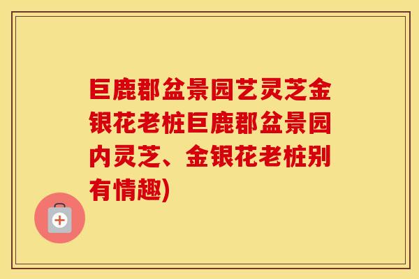 巨鹿郡盆景园艺灵芝金银花老桩巨鹿郡盆景园内灵芝、金银花老桩别有情趣)