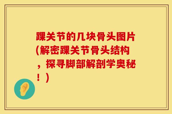 踝关节的几块骨头图片(解密踝关节骨头结构，探寻脚部解剖学奥秘！)