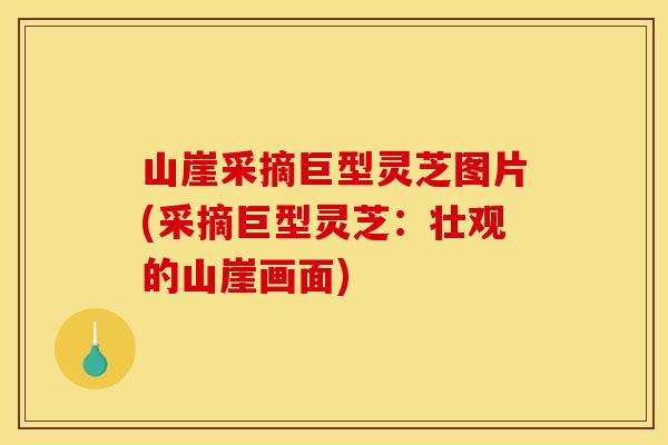 山崖采摘巨型灵芝图片(采摘巨型灵芝：壮观的山崖画面)