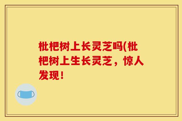 枇杷树上长灵芝吗(枇杷树上生长灵芝，惊人发现！