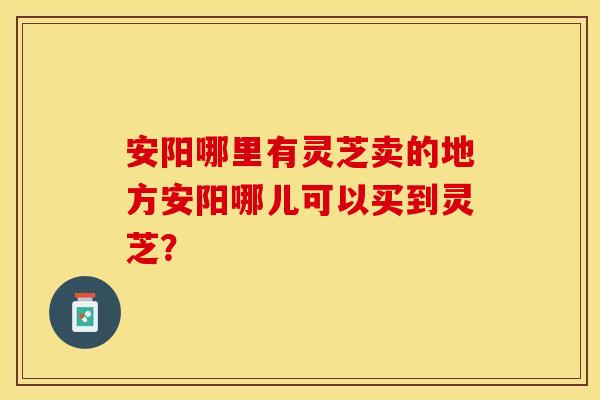 安阳哪里有灵芝卖的地方安阳哪儿可以买到灵芝？