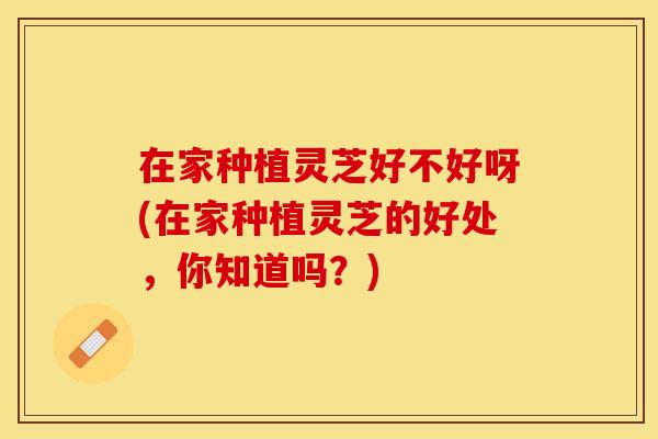 在家种植灵芝好不好呀(在家种植灵芝的好处，你知道吗？)