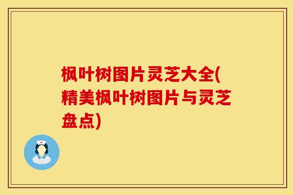 枫叶树图片灵芝大全(精美枫叶树图片与灵芝盘点)