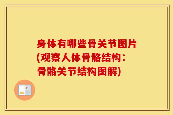 身体有哪些骨关节图片(观察人体骨骼结构：骨骼关节结构图解)