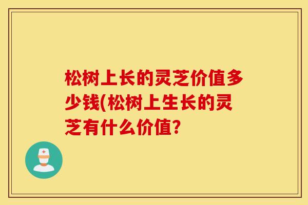 松树上长的灵芝价值多少钱(松树上生长的灵芝有什么价值？