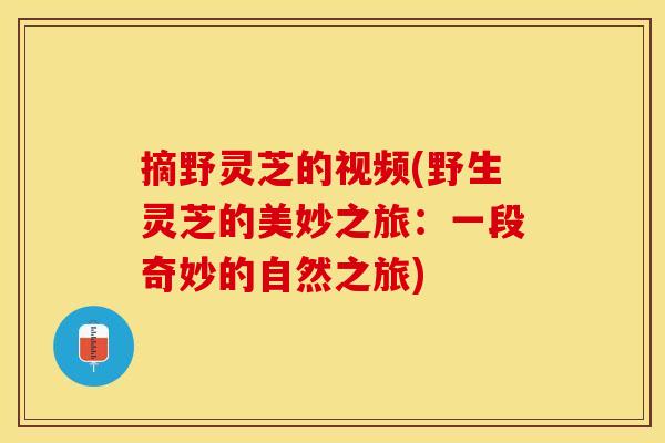 摘野灵芝的视频(野生灵芝的美妙之旅:一段奇妙的自然之旅) 摘野灵芝的视频(野生灵芝的美妙之旅:一段奇妙的自然之旅)