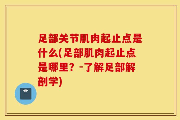 足部关节肌肉起止点是什么(足部肌肉起止点是哪里？-了解足部解剖学)