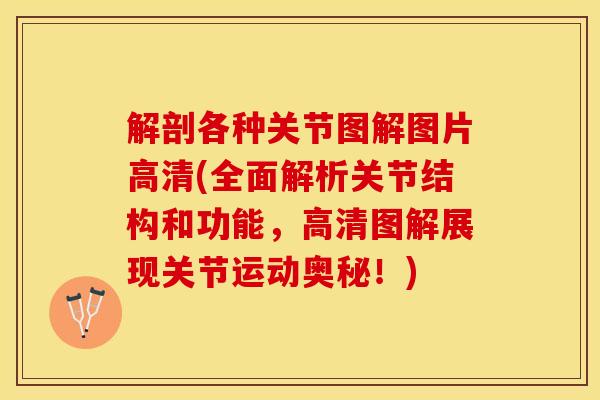 解剖各种关节图解图片高清(全面解析关节结构和功能，高清图解展现关节运动奥秘！)