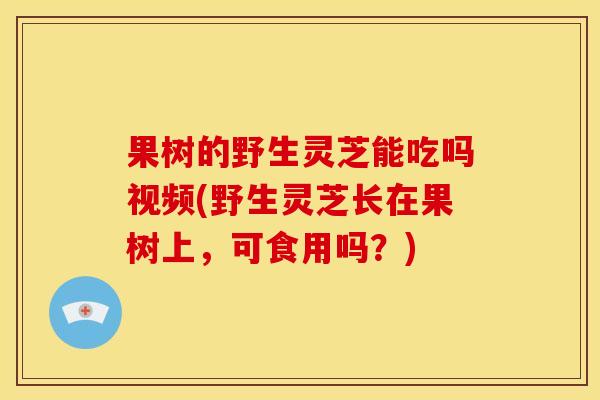 果树的野生灵芝能吃吗视频(野生灵芝长在果树上，可食用吗？)