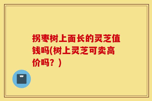 拐枣树上面长的灵芝值钱吗(树上灵芝可卖高价吗？)