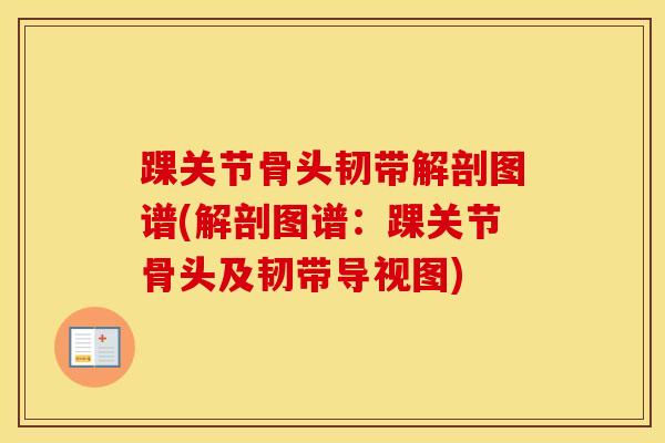 踝关节骨头韧带解剖图谱(解剖图谱：踝关节骨头及韧带导视图)