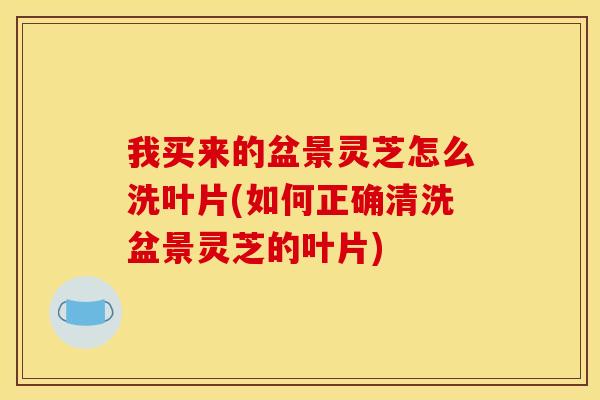 我买来的盆景灵芝怎么洗叶片(如何正确清洗盆景灵芝的叶片)