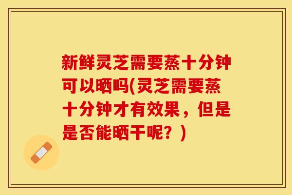 新鲜灵芝需要蒸十分钟可以晒吗(灵芝需要蒸十分钟才有效果，但是是否能晒干呢？)