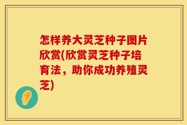 怎样养大灵芝种子图片欣赏(欣赏灵芝种子培育法，助你成功养殖灵芝)
