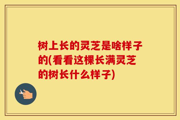 树上长的灵芝是啥样子的(看看这棵长满灵芝的树长什么样子)