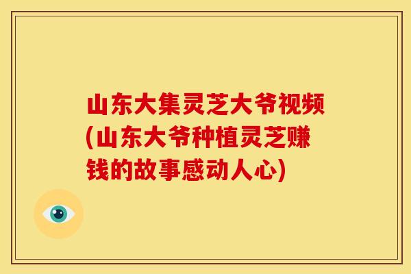 山东大集灵芝大爷视频(山东大爷种植灵芝赚钱的故事感动人心)