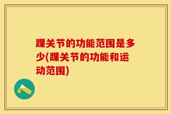 踝关节的功能范围是多少(踝关节的功能和运动范围)