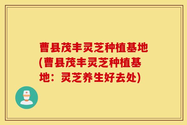 曹县茂丰灵芝种植基地(曹县茂丰灵芝种植基地：灵芝养生好去处)