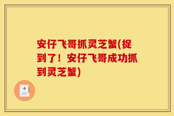 安仔飞哥抓灵芝蟹(捉到了！安仔飞哥成功抓到灵芝蟹)